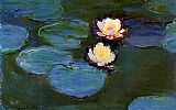 Water-Lilies